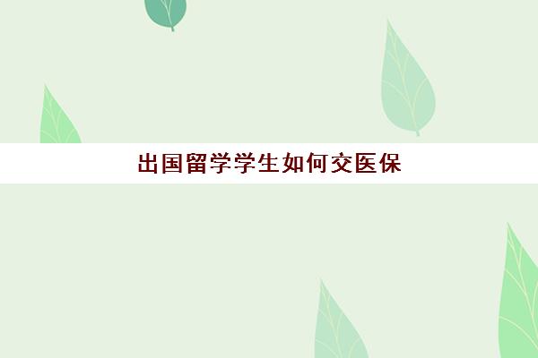 出国留学学生如何交医保(出国留学人员如何交社保)