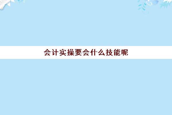 会计实操要会什么技能呢(会计必备的知识和技能)