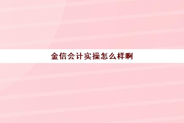 金信会计实操怎么样啊(基础会计试题)