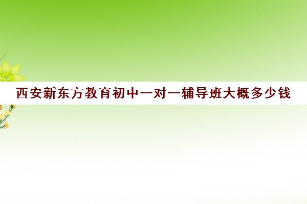 西安新东方教育初中一对一辅导班大概多少钱（新东方初三一对一价格表）