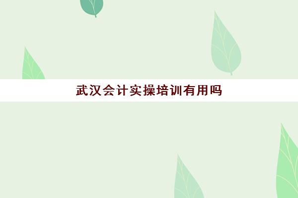 武汉会计实操培训有用吗(初级管理会计师和初级会计区别)