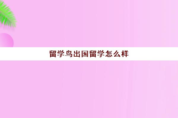 留学鸟出国留学怎么样(出国留学机构排名哪家口碑)