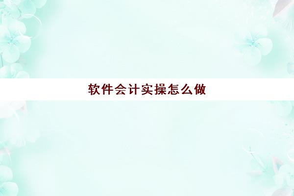 软件会计实操怎么做(会计实训软件有哪些)