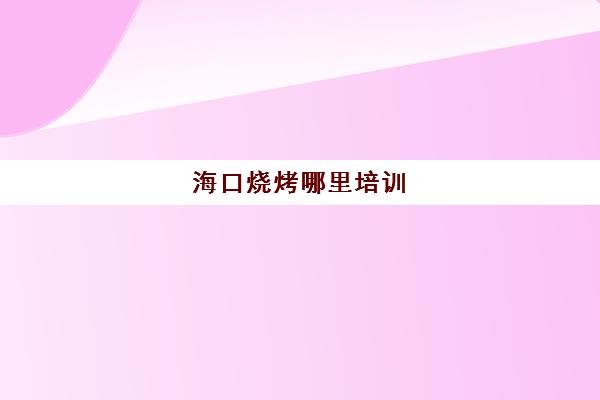 海口烧烤哪里培训(海口哪里有卖烧烤工具)