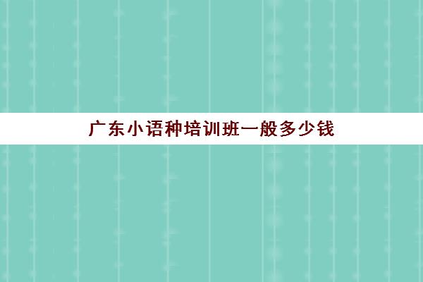 广东小语种培训班一般多少钱(学小语种一般要多少钱)