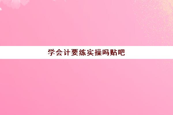 学会计要练实操吗贴吧(做了两年会计感觉没一点经验)