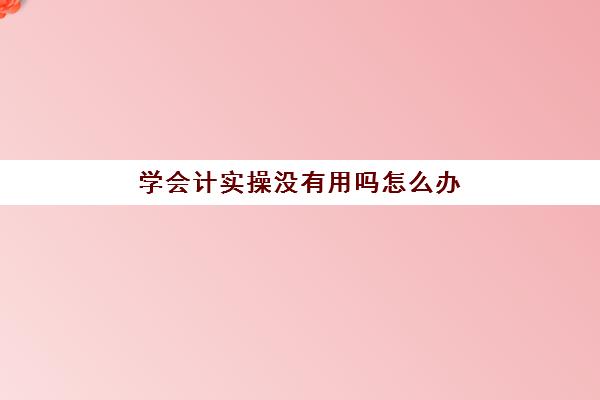 学会计实操没有用吗怎么办(我学会计一点都不会怎么办)