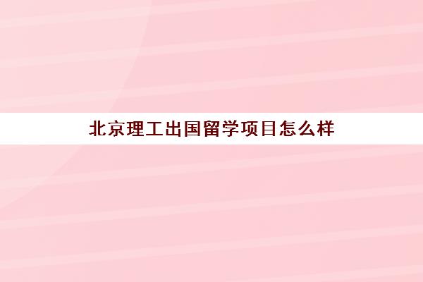 北京理工出国留学项目怎么样(武汉出国留学中介排名)