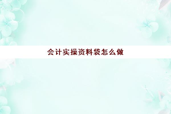 会计实操资料袋怎么做(新手会计岗位实训套盒)