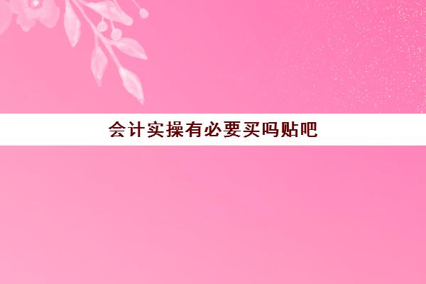 会计实操有必要买吗贴吧(初级会计应试指南有必要买吗)