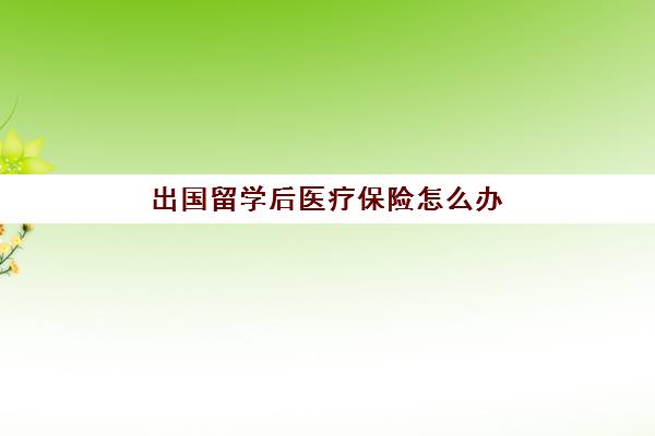 出国留学后医疗保险怎么办(辞职后医疗保险还能用吗)