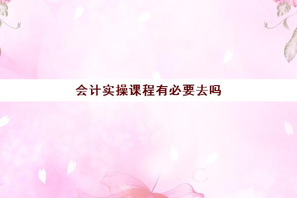 会计实操课程有必要去吗(学会计上网课好还是实体课好)