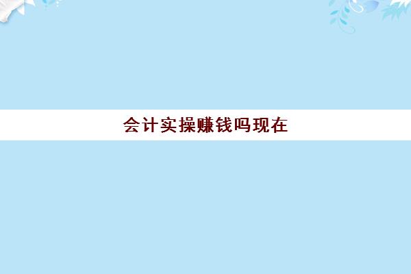 会计实操赚钱吗现在(会计博士很赚钱)