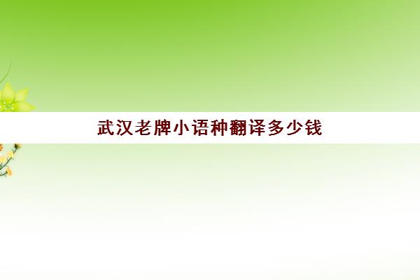 武汉老牌小语种翻译多少钱(中国最缺的小语种翻译)