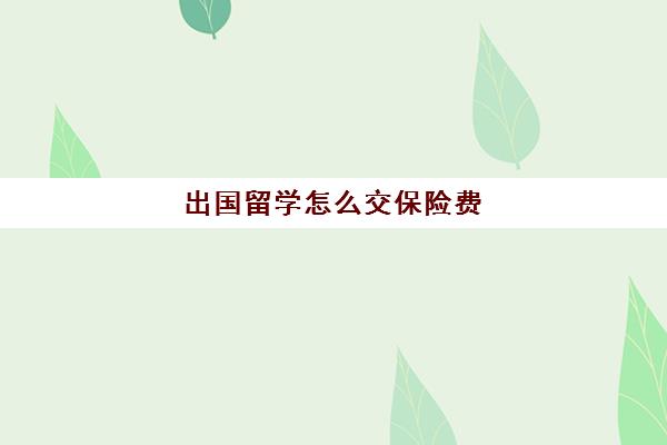 出国留学怎么交保险费(出国留学人员如何交社保)