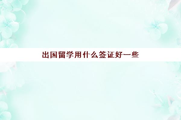 出国留学用什么签证好一些(出国留学需要哪些证件材料)