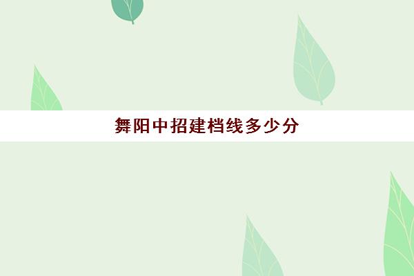 舞阳中招建档线多少分(2023年郑州中考建档线是多少分)