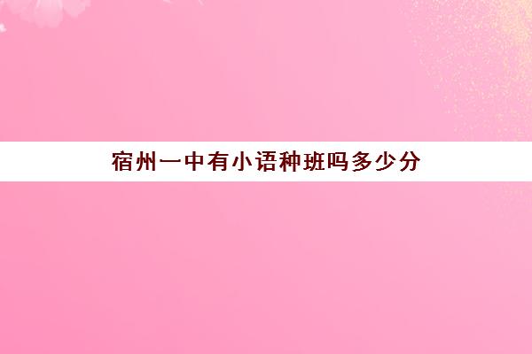 宿州一中有小语种班吗多少分(高中小语种班)