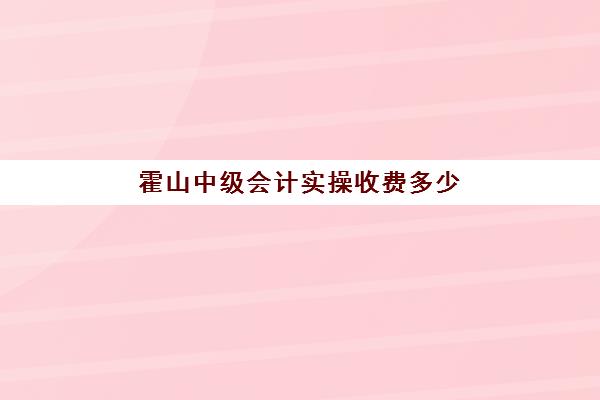 霍山中级会计实操收费多少(中级会计学费一般要多少)