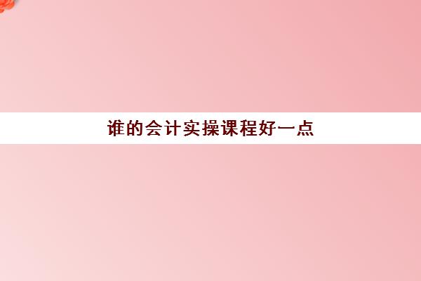 谁的会计实操课程好一点(会计小白在哪里学的东西多)