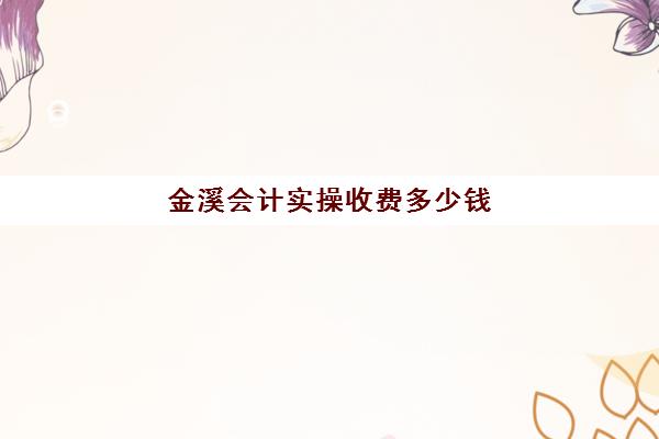 金溪会计实操收费多少钱(会计收费价格表)