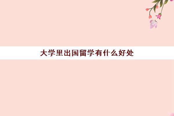 大学里出国留学有什么好处(出国留学好还是国内上大学好)