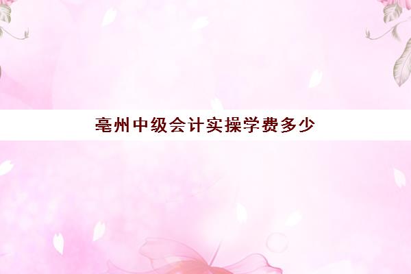 亳州中级会计实操学费多少(中级会计师培训班一般多少钱)