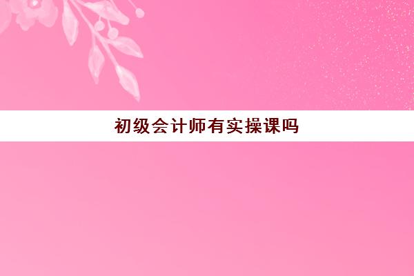 初级会计师有实操课吗(初级会计可以干什么) 初级会计师有实操课吗(初级会计可以干什么)