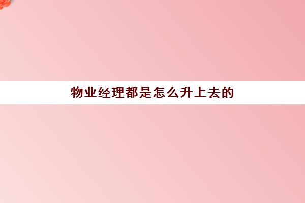 物业经理都是怎么升上去的(作为一名物业经理要具备哪些条件)