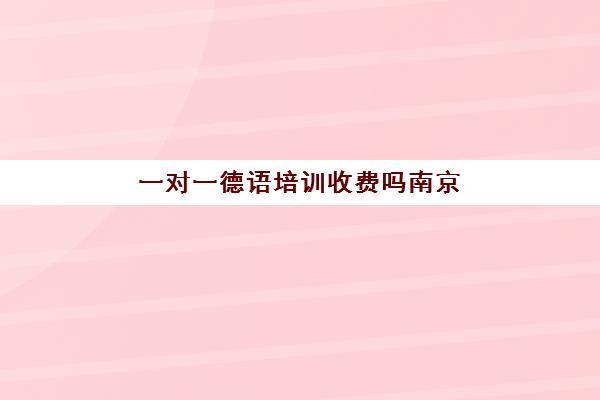 一对一德语培训收费吗南京(德语私教一个小时多少钱)