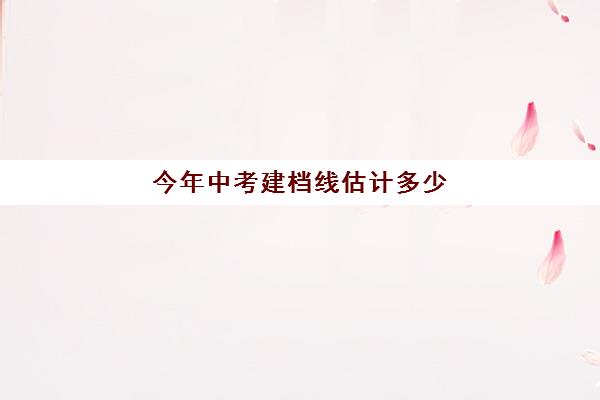 今年中考建档线估计多少(中考建档线有什么用)