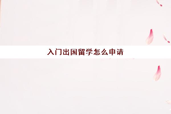 入门出国留学怎么申请(怎样申请国外的大学)