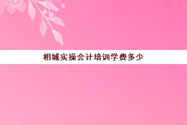 相城实操会计培训学费多少(苏州学会计哪里比较好)