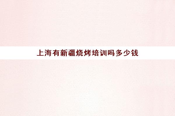 上海有新疆烧烤培训吗多少钱(乌鲁木齐烤馕培训)