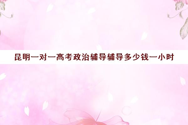 昆明一对一高考政治辅导辅导多少钱一小时(昆明补课哪个机构比较好)