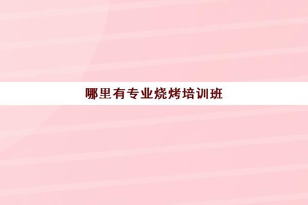 哪里有专业烧烤培训班(哪里可以学烧烤培训)