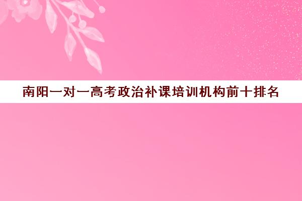 南阳一对一高考政治补课培训机构前十排名