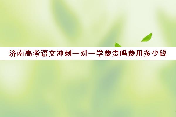 济南高考语文冲刺一对一学费贵吗费用多少钱(一对一辅导收费)