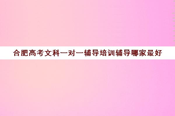合肥高考文科一对一辅导培训辅导哪家最好(合肥一对一一般课时价格)