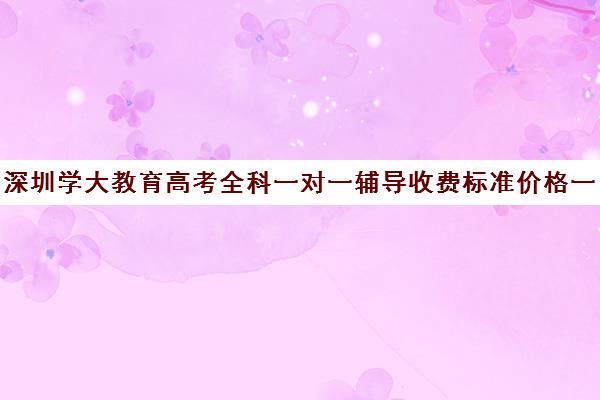 深圳学大教育高考全科一对一辅导收费标准价格一览(卓越一对一辅导收费标准)