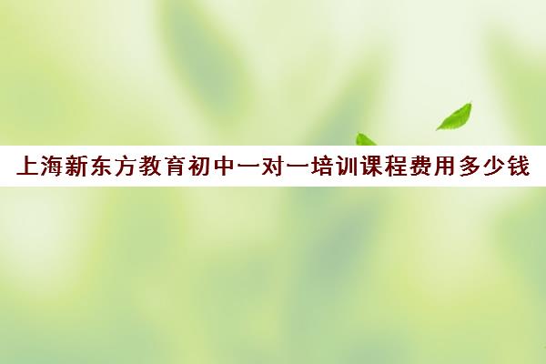 上海新东方教育初中一对一培训课程费用多少钱(新东方托福一对一收费价格表)