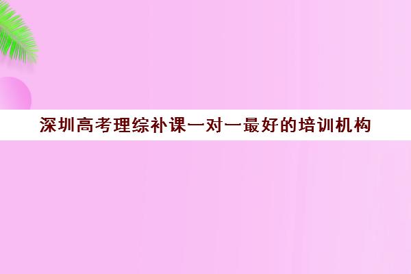 深圳高考理综补课一对一最好的培训机构(深圳高中补课机构排名)