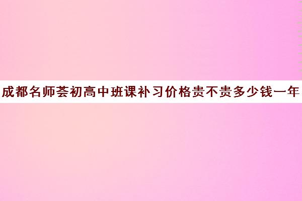 成都名师荟初高中班课补习价格贵不贵多少钱一年