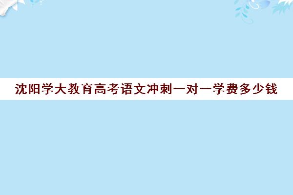 沈阳学大教育高考语文冲刺一对一学费多少钱（学大教育高三一对一收费价格表）