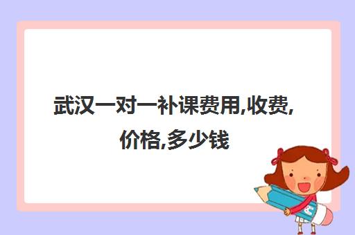 武汉一对一补课费用,收费,价格,多少钱(武汉初中一对一价格)