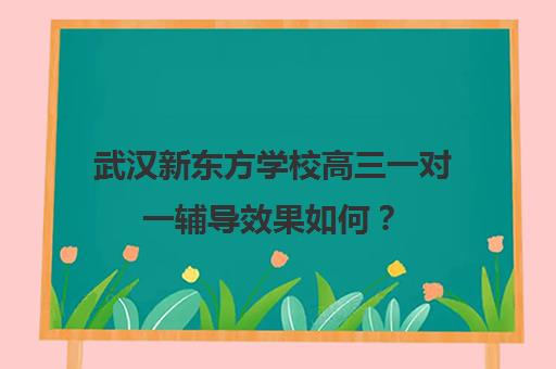 武汉新东方学校高三一对一辅导效果如何？