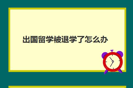 出国留学被退学了怎么办(留学中途退学要怎么补救)