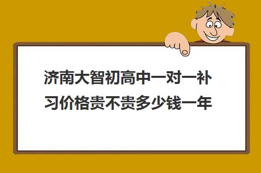 济南大智初高中一对一补习价格贵不贵多少钱一年