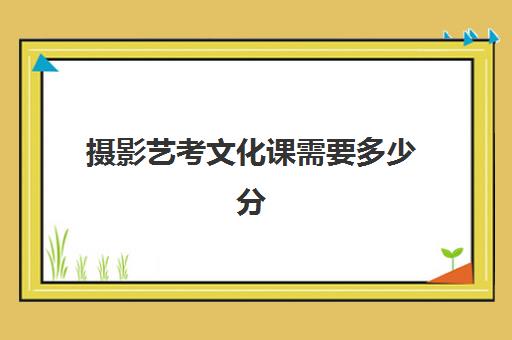 摄影艺考文化课需要多少分(摄影艺考分数线是多少)