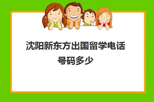 沈阳新东方出国留学电话号码多少(新东方人工服务电话)